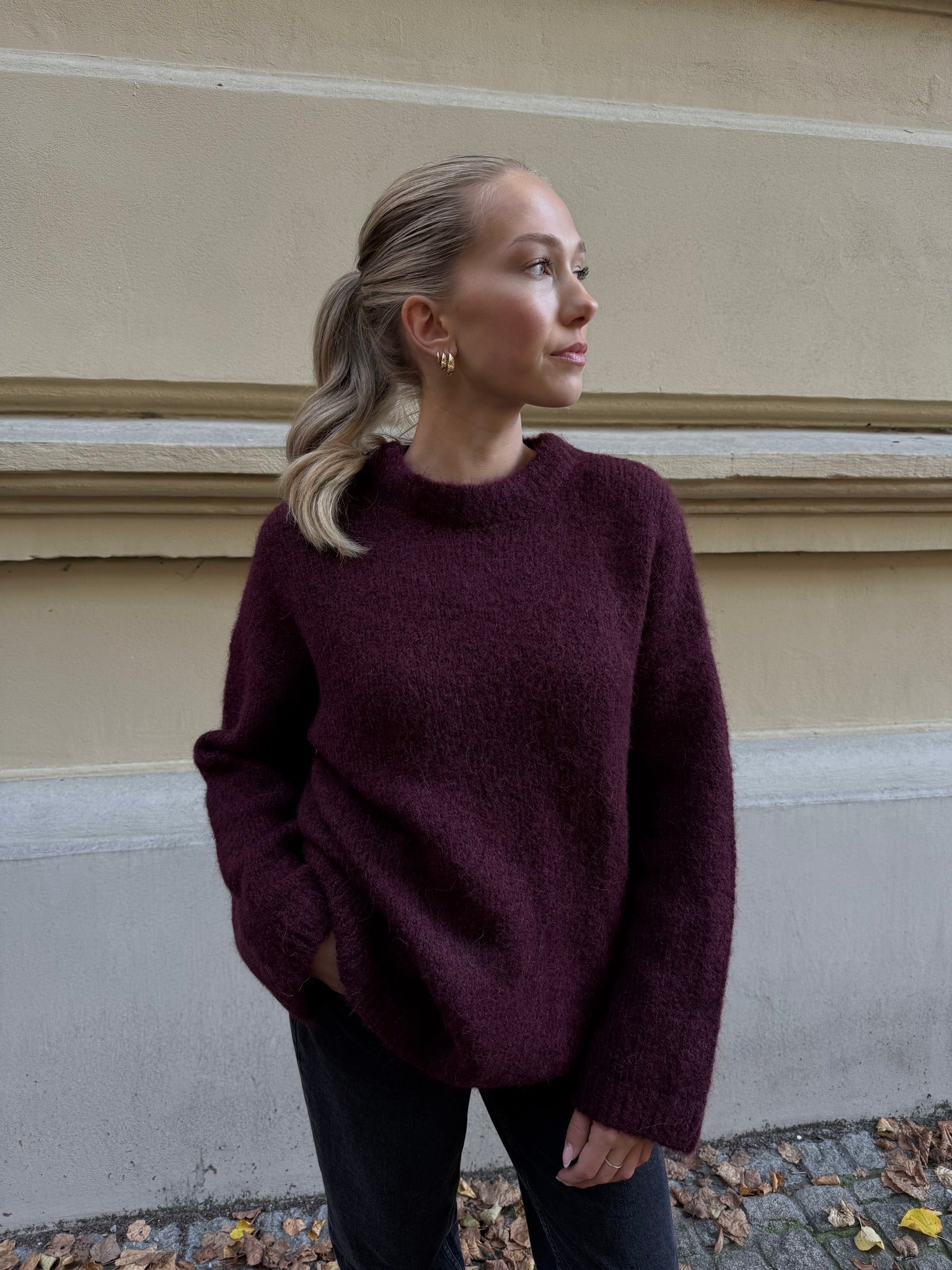 SLFGABRIELLA Pullover - Fig